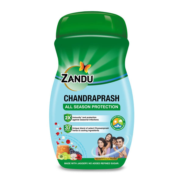 Chyavanprash 450g